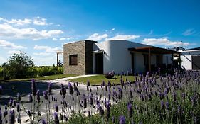 Pizzorno Lodge & Wine